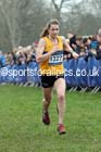 Senior womens Inter Counties Cross Country, Prestwold Hall, Loughborough. Photo: David T. Hewitson/Sports for All Pics